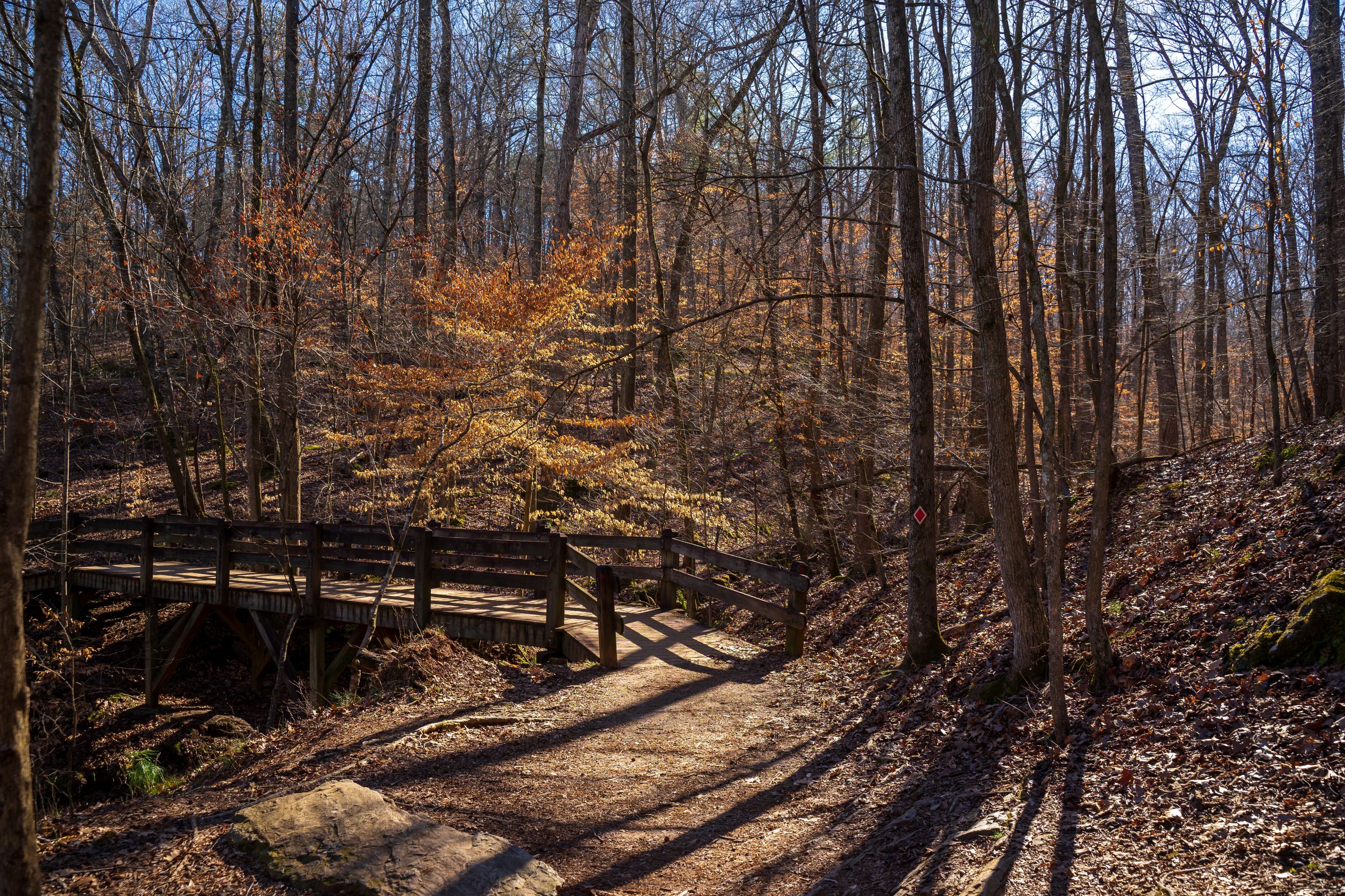 Lithia Springs Shutterstock 2265662487