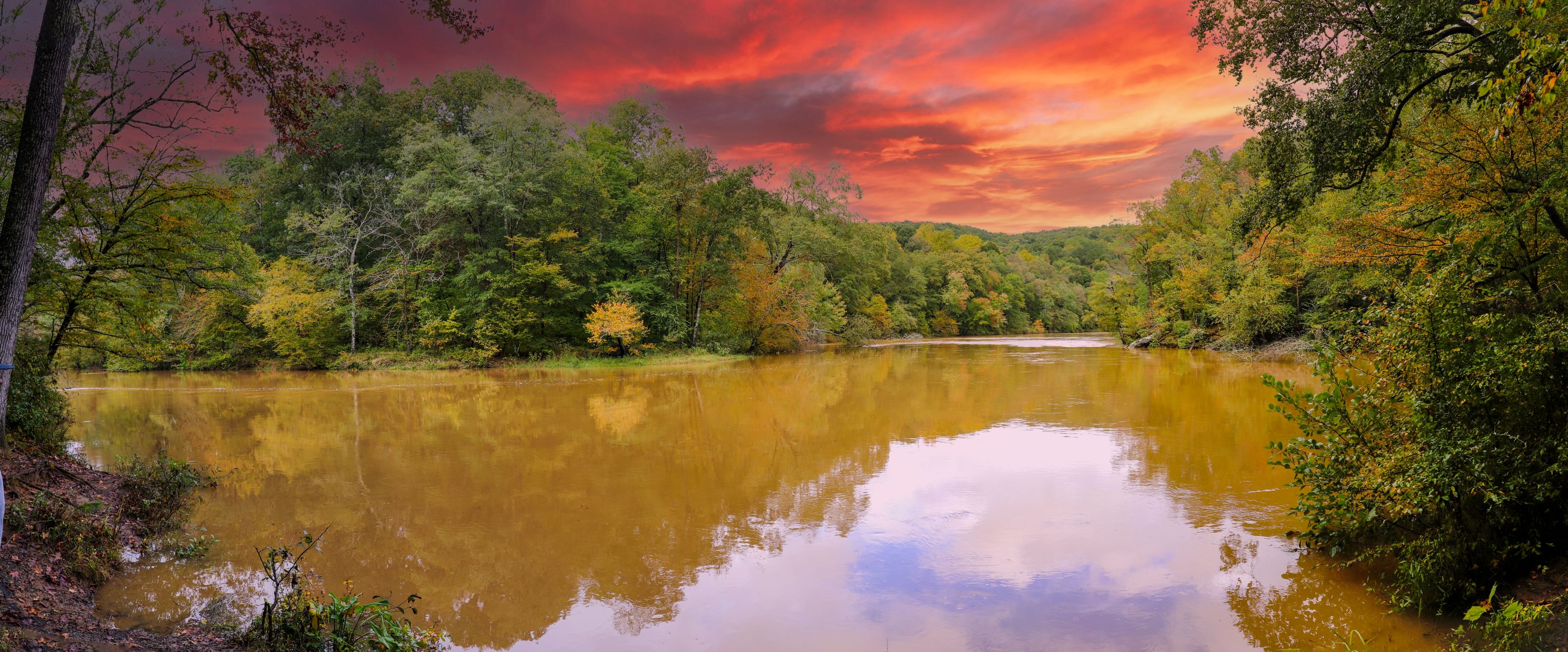 Austell Shutterstock 2534739293